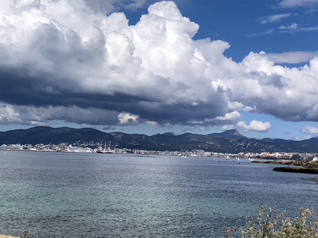 Palma